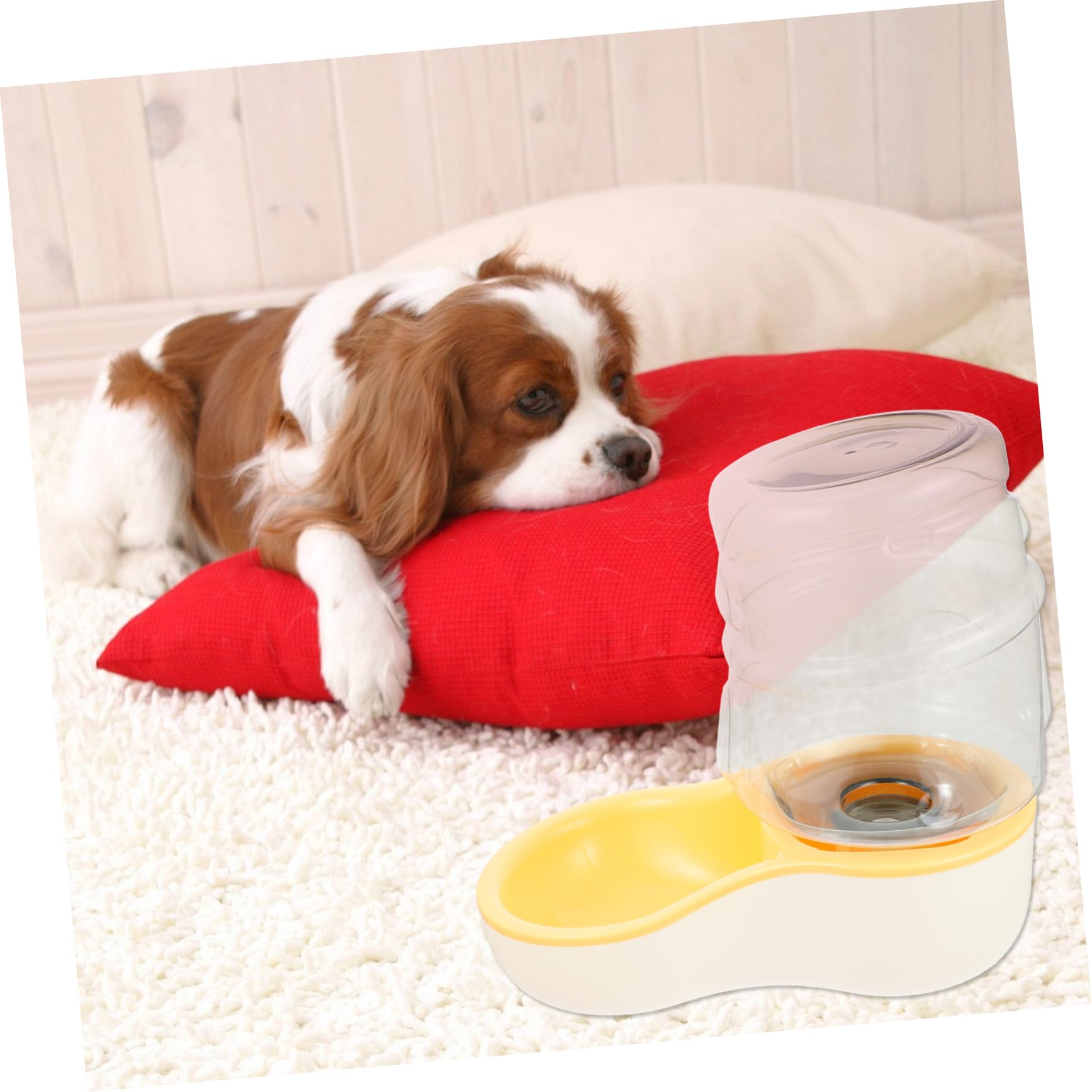 Abaodam 1Pc Automatic Pet Water Bowl Durable Drinking Dispenser for Cats and Dogs Break Design Easy to Clean for Pet Supplies