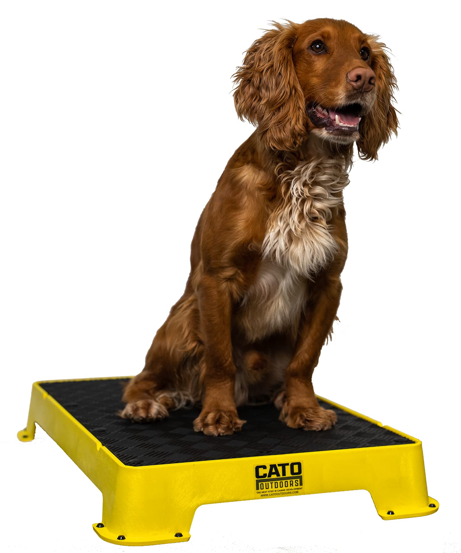 Cato Board - Dog Training Platform (Yellow, Rubber Surface)
