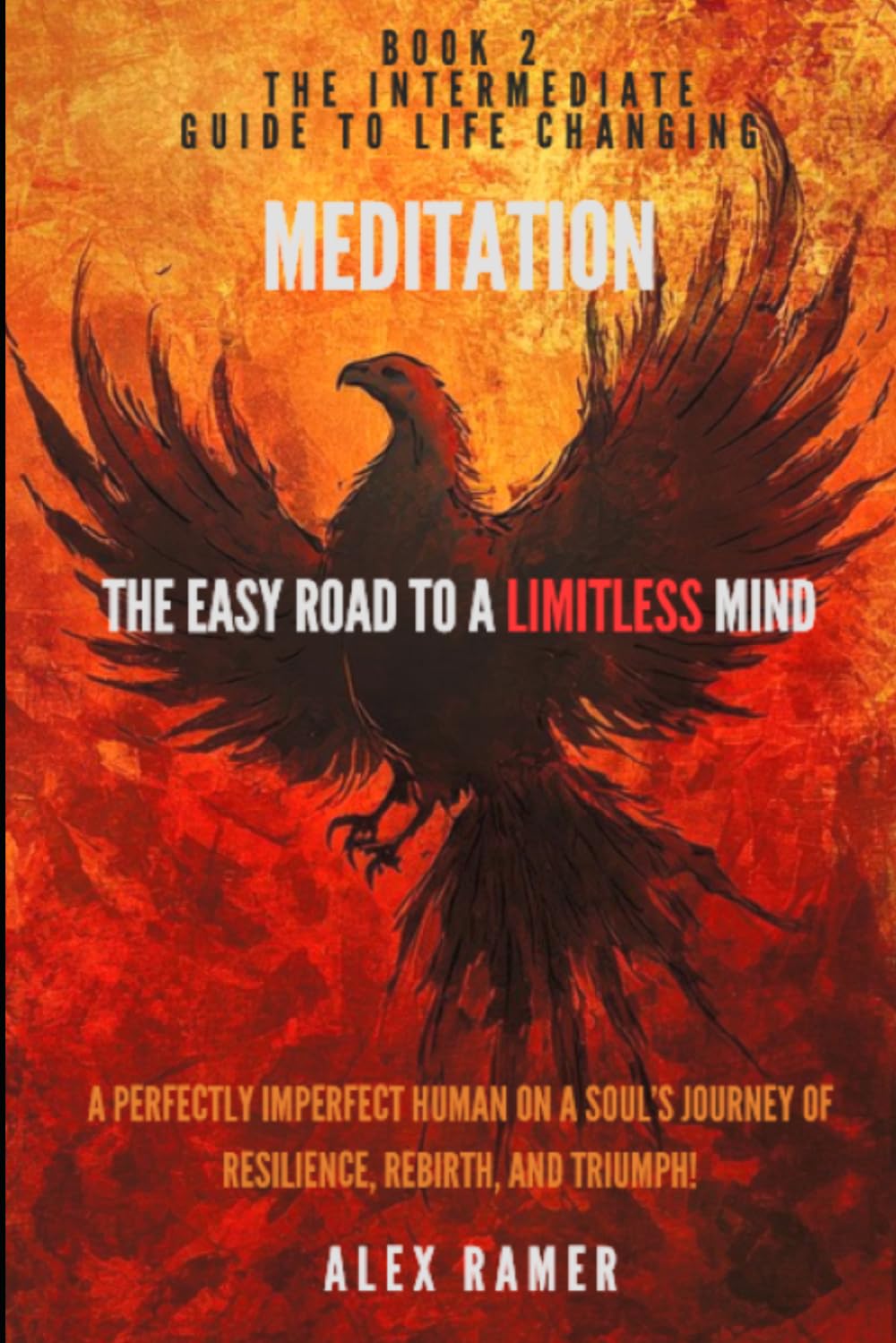 The Easy Road to a Limitless Mind!: The intermediate Guide to Life Changing Meditation