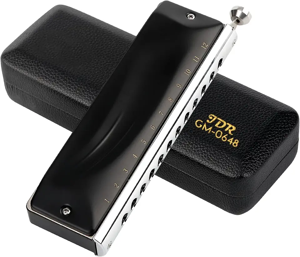 JDR GM0648 Gaita cromática C chave 12 furos 48 tons boca cromática órgão harpa chave de C para crianças iniciantes adultos jogadores profissionais pais (preto)
