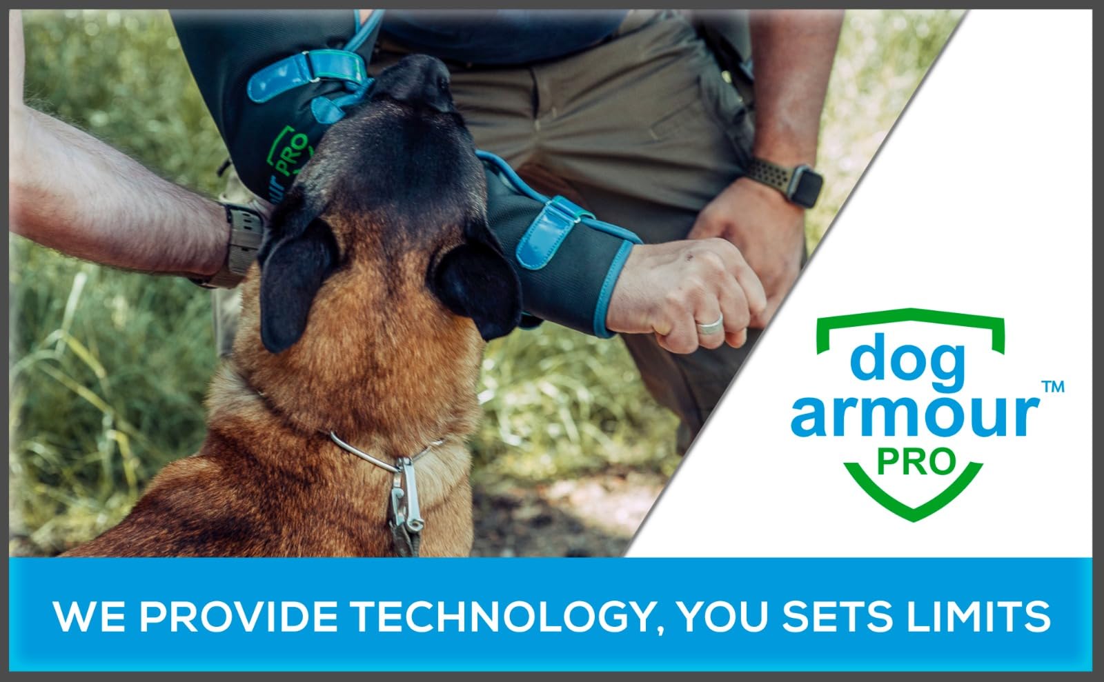 Arnés de protección para Perros: Protege a tu Mascota de ataques de Aves Rapaces y Otros Animales; Ajustable, sin estrangulamiento, Impermeable y Reflectante
