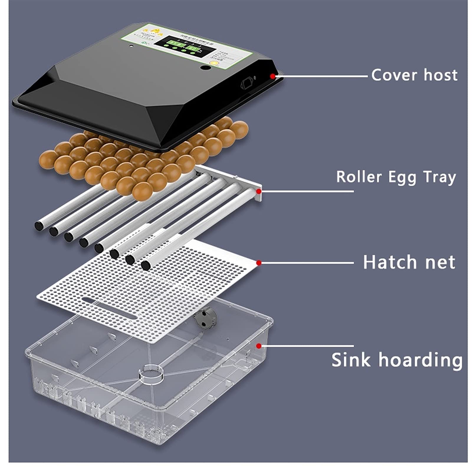 Incubatrice Automatica per Uova di Pollo 48 Incubatrice Digitale Completamente Automatica con girauova Integrato e regolatore di Temperatura Intelligente per Uso Domestico, Laboratorio