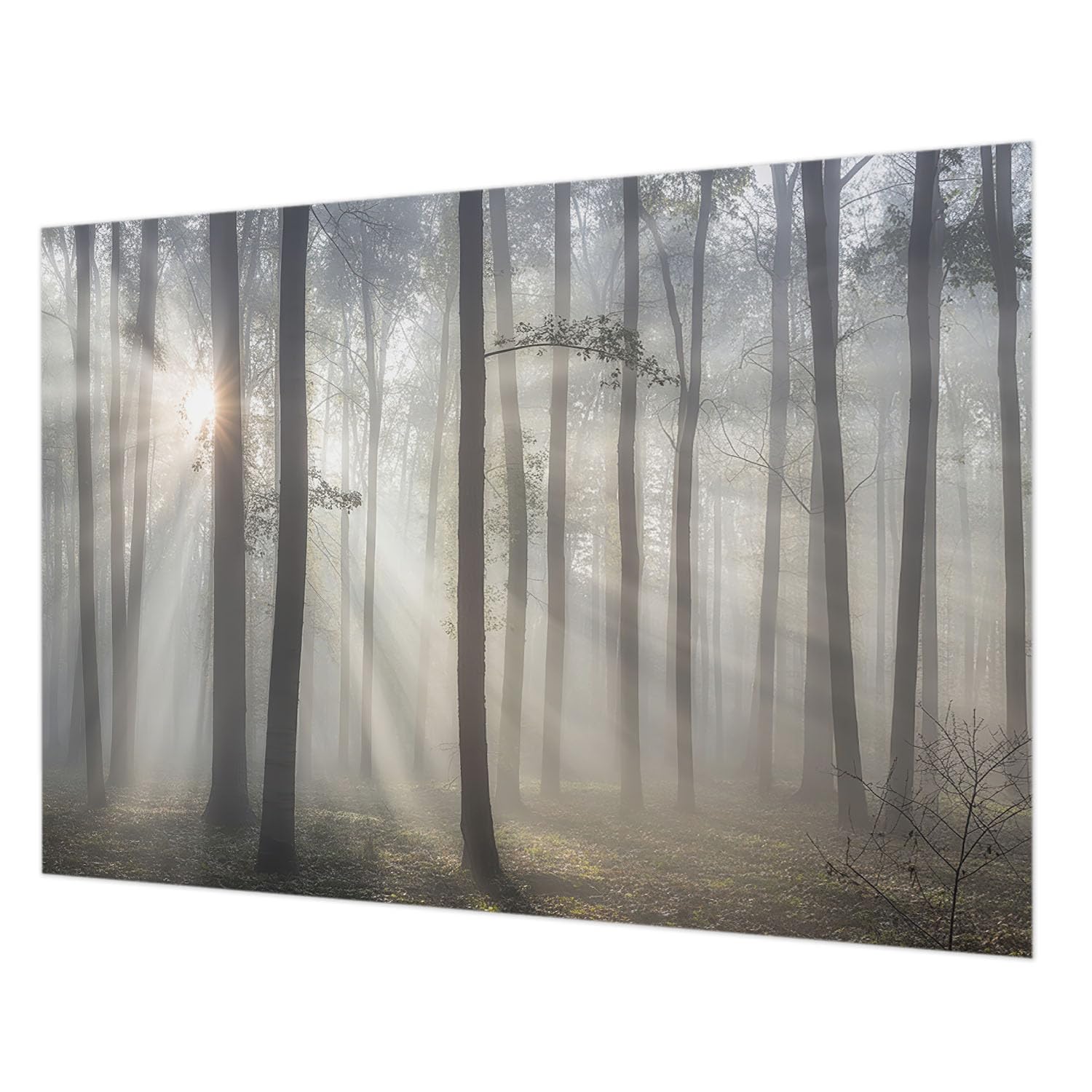 Décor mural intissé forêt éthérée 208x146 cm pour salon
