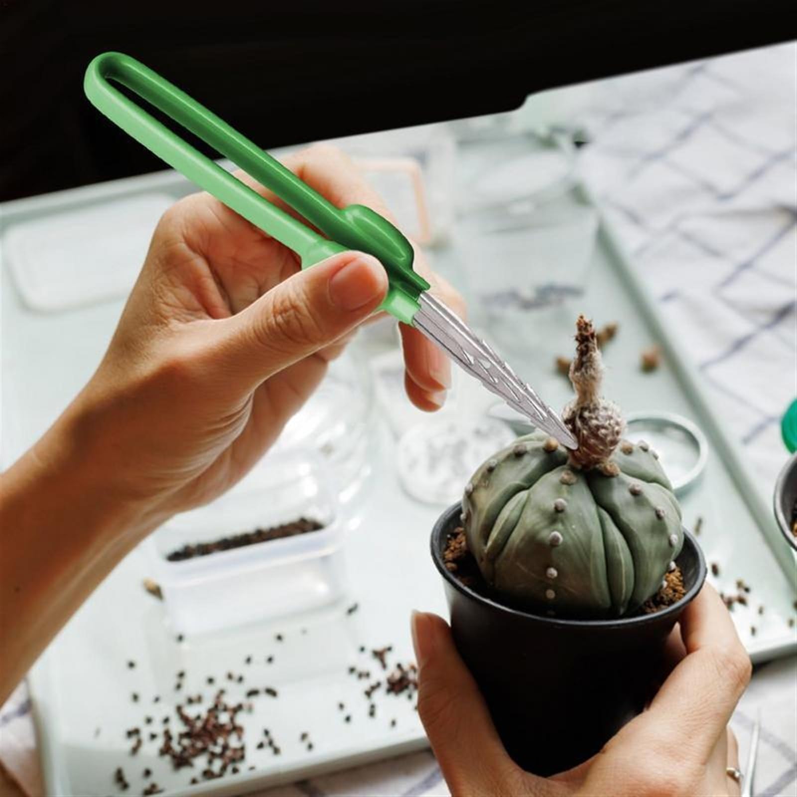 Pęseta do usuwania włosów pęseta ogrodnicza narzędzie bonsai zakrzywiona ząbkowana końcówka pęseta akwarium przezroczysty klips narzędzie naprawcze do ogrodu kuchnia pęseta
