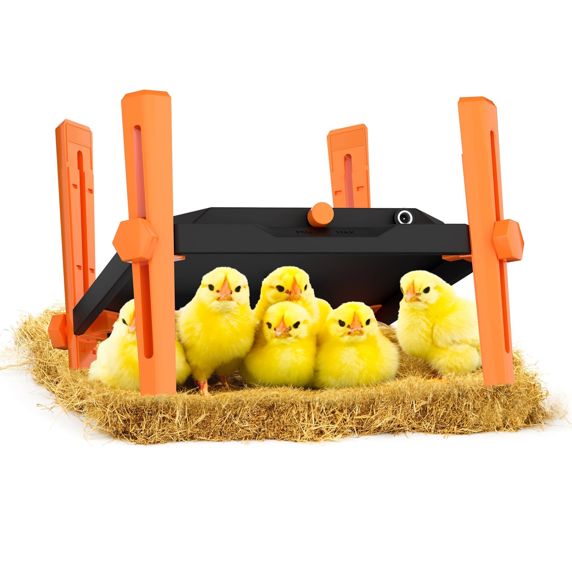 Pet & Livestock HQ Chicken Brooder Heater for Chicks - Chick Brooder Heat Plate - 12" x 12" Indoor Brooder Heating Kit with Adjustable Height and Temperature Display