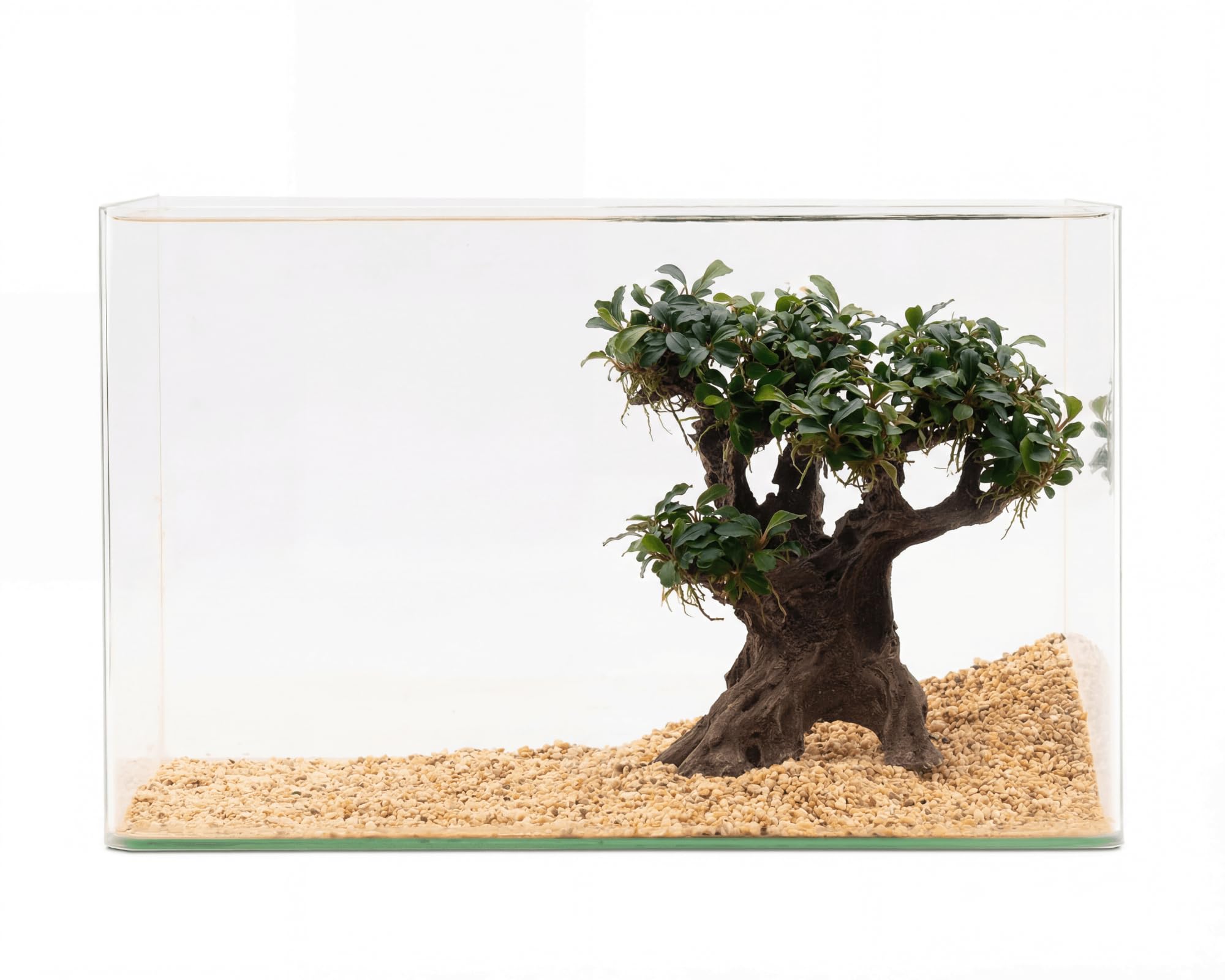 NatureHolic Bucephalandra Bonsai Baum XXL Stone Bonsai Mokuishi Bepflanzt - Aquarium Deko mit Aufsitzerpflanze - Polyresin 100% Inert - Sofort Einsatzbereit - ca. 20 x 22 x 10 cm