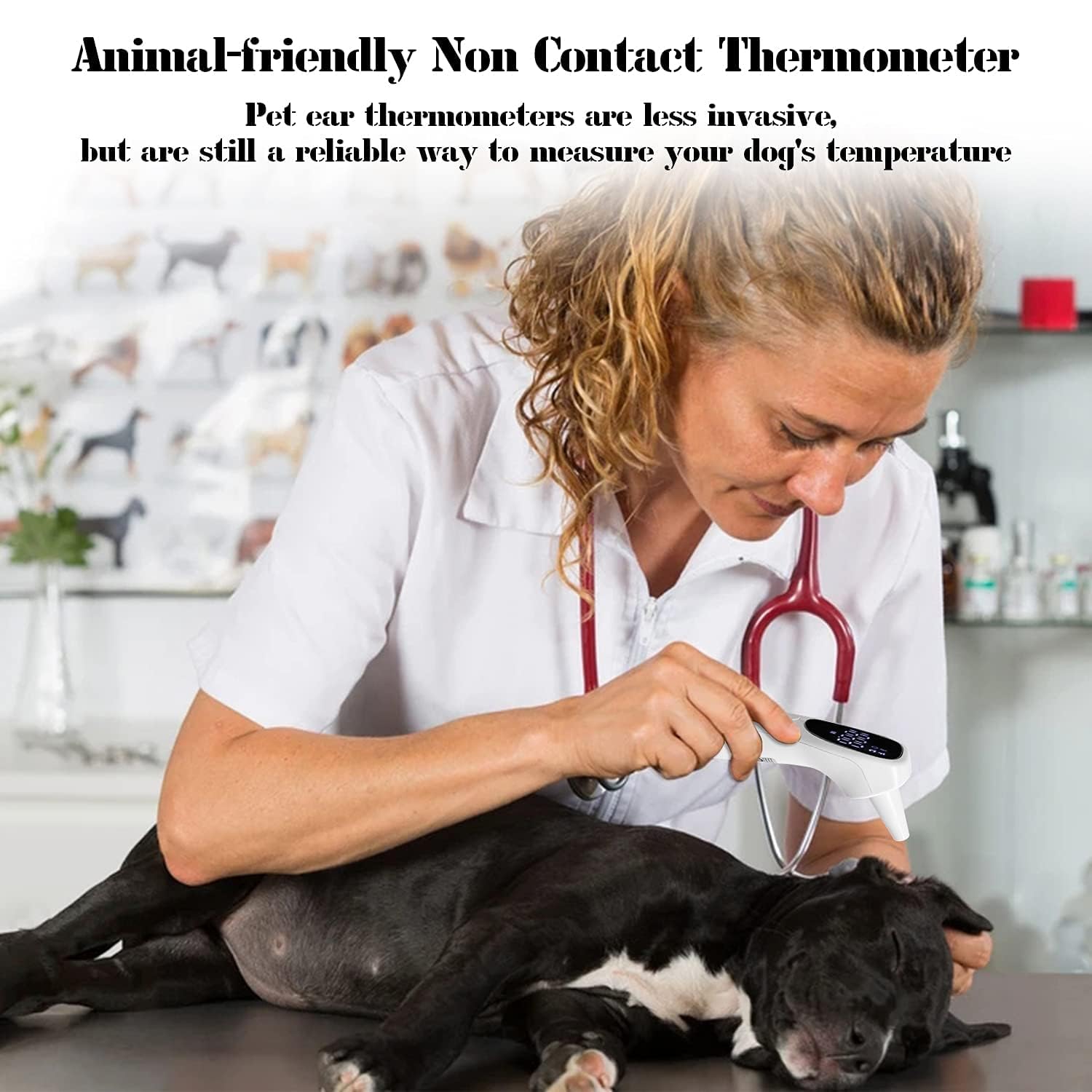 Berührungsloses Haustier-Thermometer, Ohrthermometer für Hunde oder andere Tiere, bequem und schnell. Messen Sie die Temperatur Ihres Haustiers in 1 Sekunde