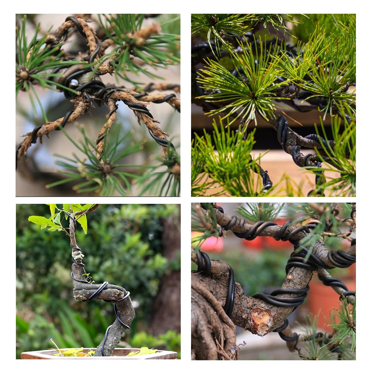 Filo per bonsai, CTRICALVER filo artigianale in alluminio nero 3misure 1,0/1,5/2,0mm (10m ciascuno), filo per addestramento bonsai per addestramento bonsai, artigianato floreale artistico e modellismo