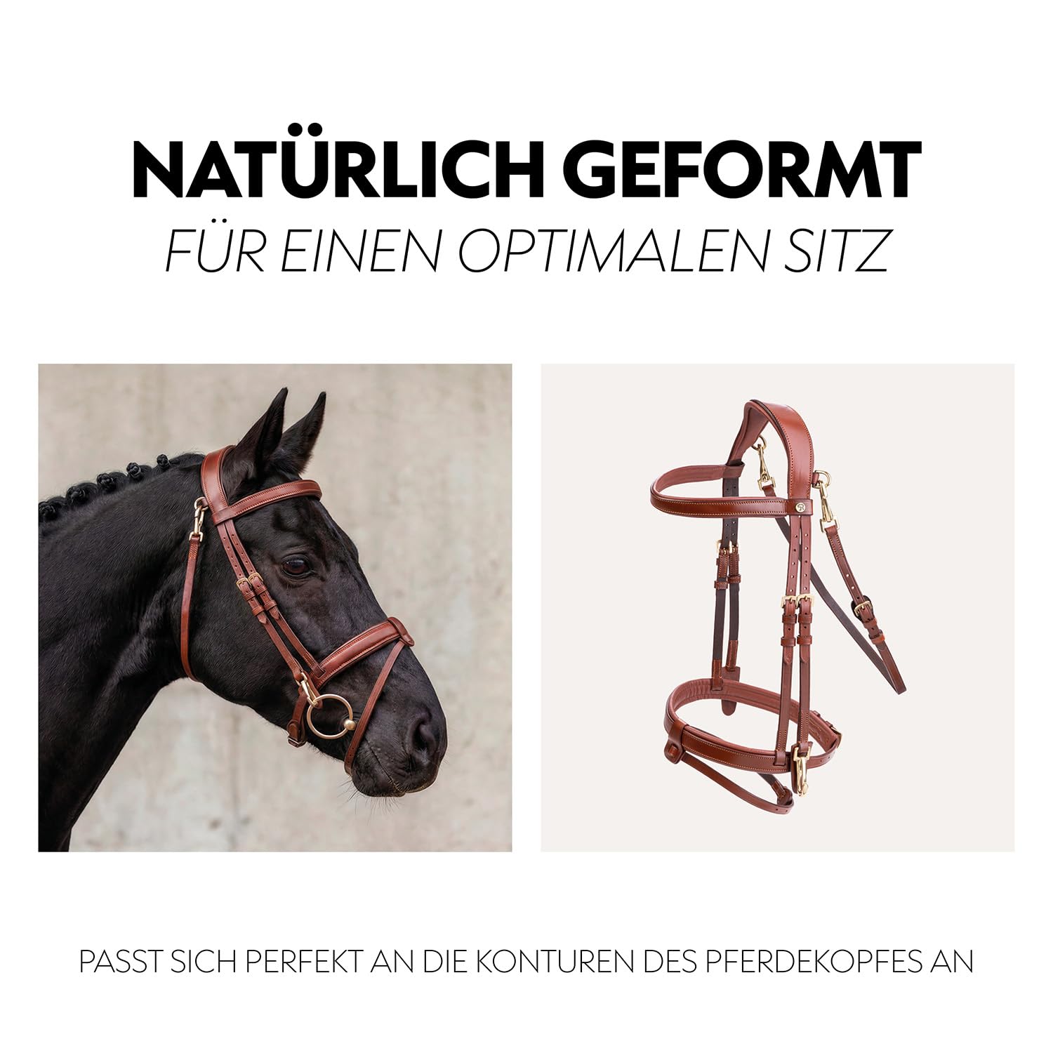 SUNRIDE Briglia inglese combinata per cavalli (Berlino) – con redini – vera pelle morbida – imbottitura extra – anatomica, regolabile – Click&Ride – fatta a mano – antiruggine (cognac, Full (WB))