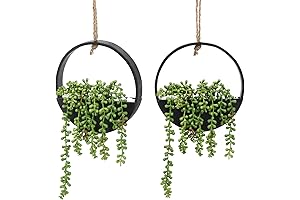 CEWOR Artificial Succulents Hanging Plants: Enhance Your Space with Greenery