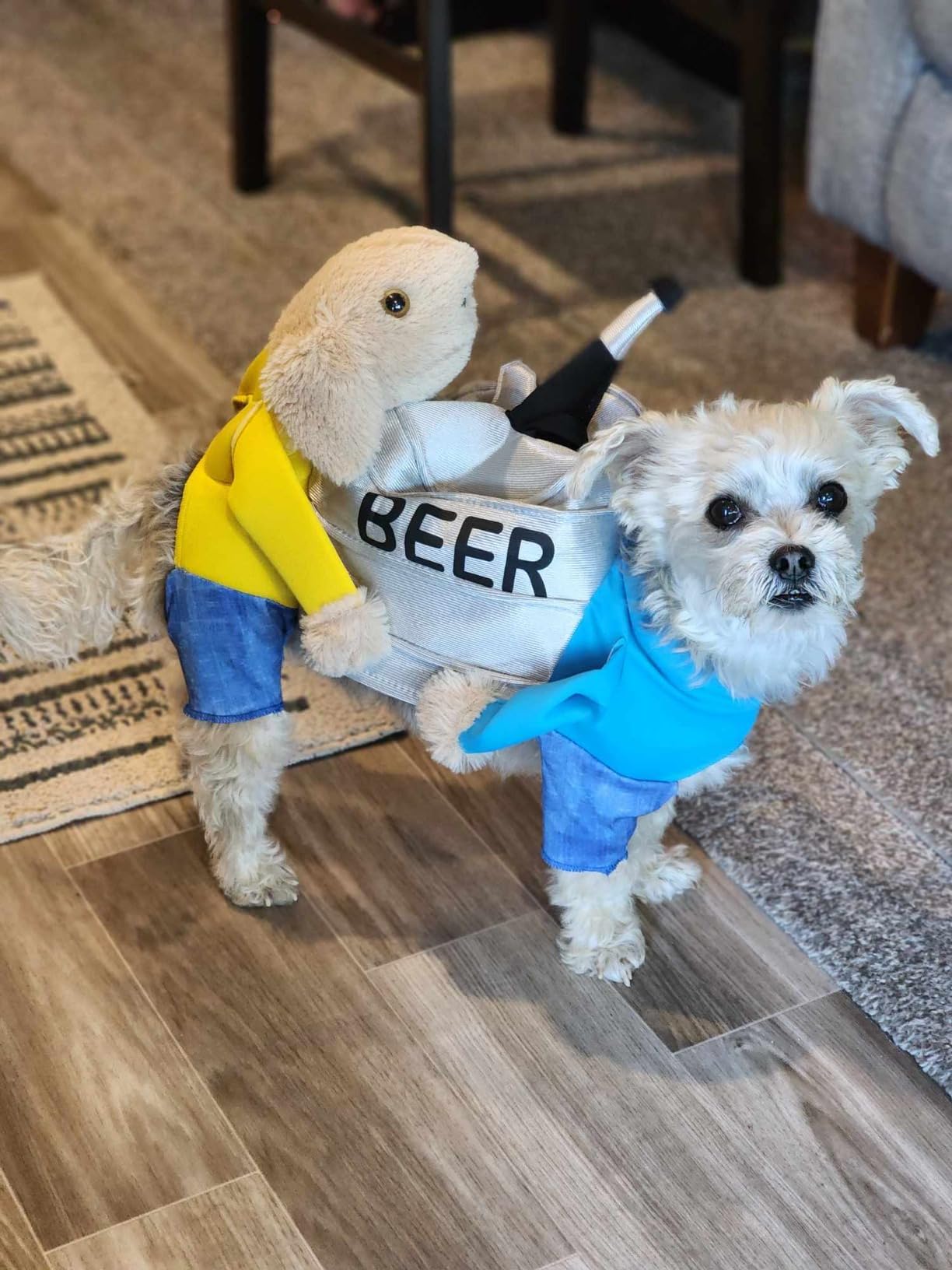 Rasta Imposta Dogs Carrying Beer Keg Dog Costume SM Pet Supplies