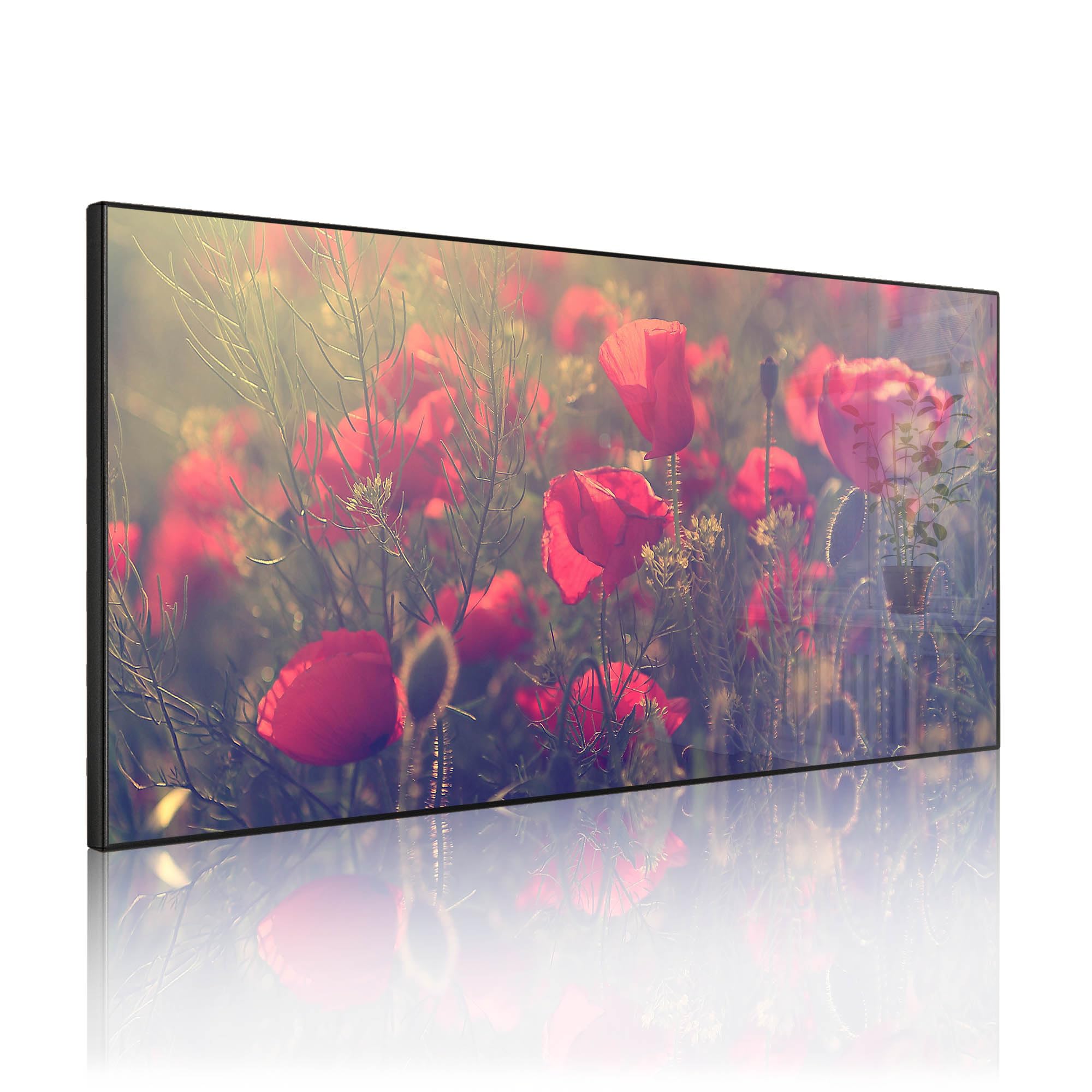 banjado Magnettafel Metall 78 x 37cm - beschreibbare Magnettafel - Metall Pinnwand als Memoboard - Magnetwand Küche, Büro, Kinderzimmer Schwarz inkl. 4 Magnete & Montageset - Motiv Mohn