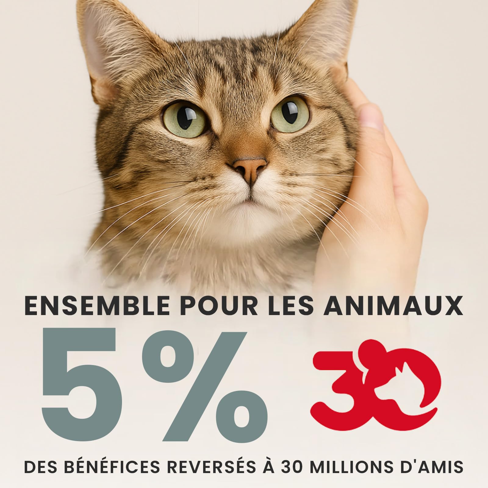 Coffret 4 Jouets Interactifs pour Chat avec Herbe à Chat | Laser Automatique Rotatif, Laser Manuel, Balle Interactive, Oiseau Volant avec Catnip | Pack Anti-Stress et Stimulation Féline