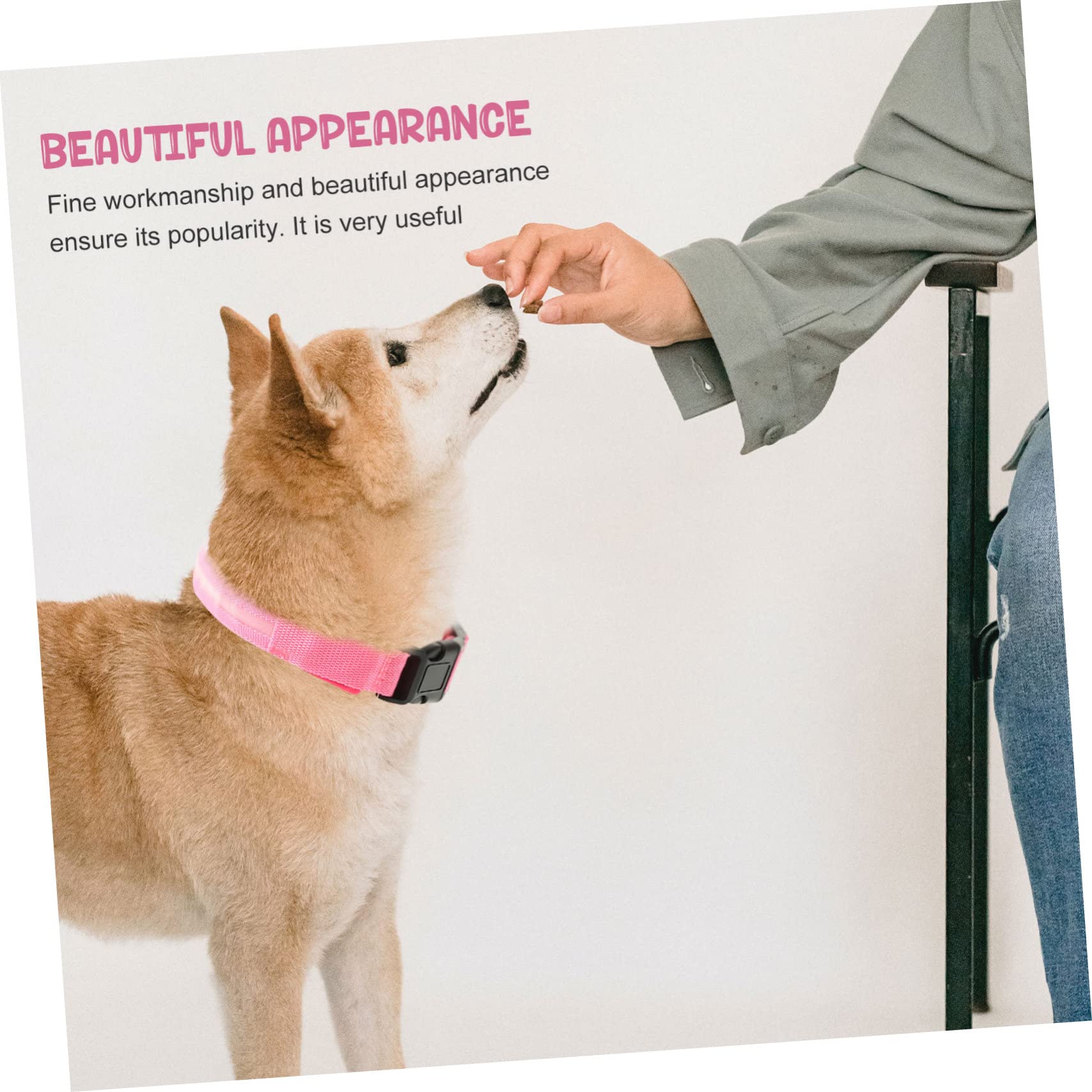 BESPORTBLE 4juegos Collar para Perros y Gatos Collar De Seguridad Recargable por USB Diseño Práctico y Creativo para Paseos Nocturnos para Mascotas De Mediano