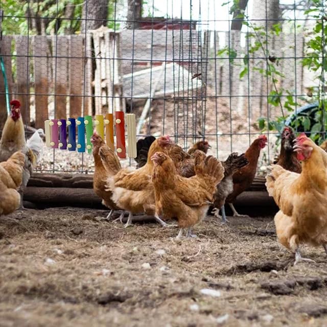 Foto 5 de 8 de Ailopta xilófono para gallinas,xilófono Pollo con 8 Teclas Metal