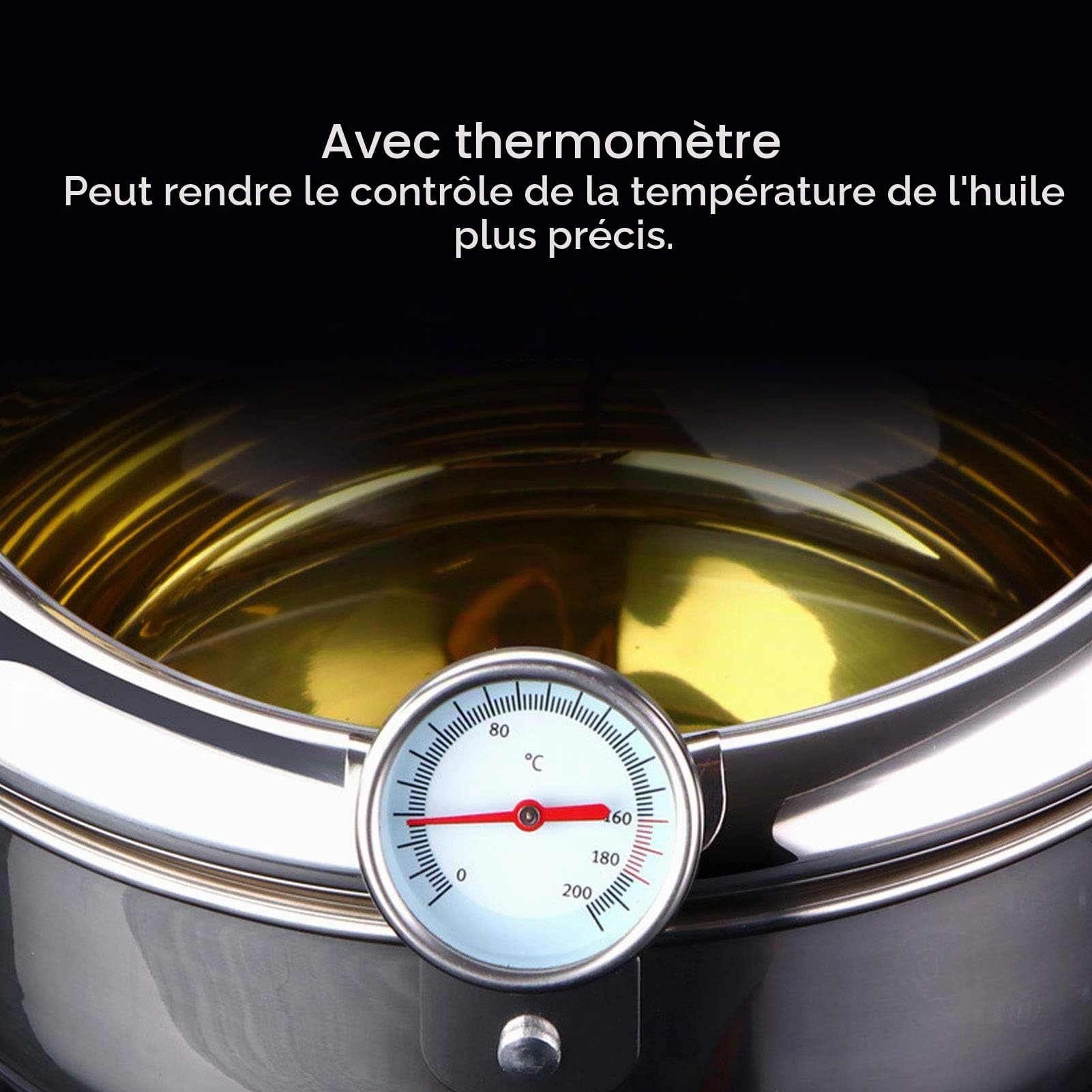 ciciglow Friteuse Tempura, marmite Japonaise avec Couvercle de marmite et ustensiles de Cuisine à Filtre à Huile (L 24cm)(Small 20cm)