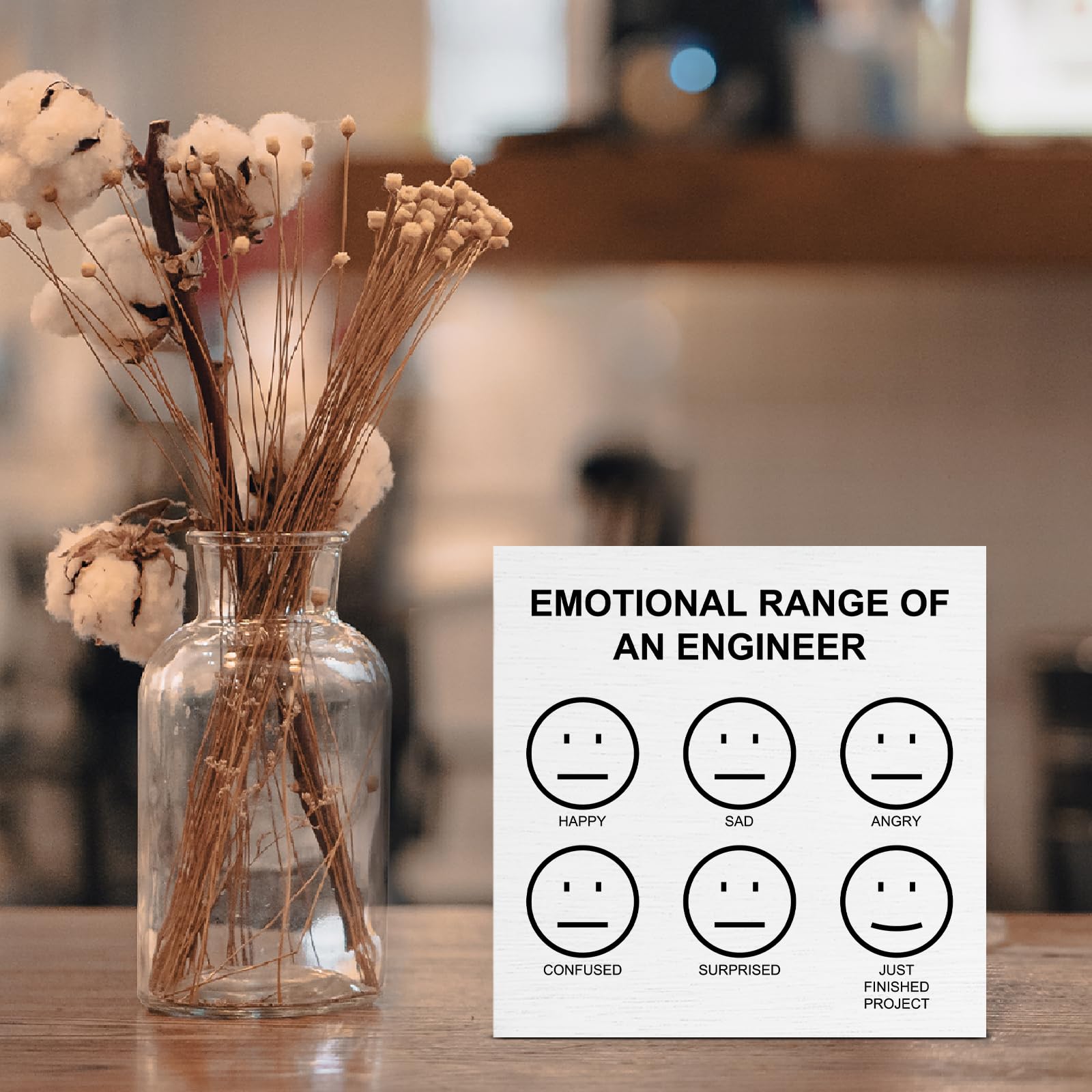 Engineer Gifts for Women Men, Funny Sarcastic Gifts for Engineers, Emotional Range of an Engineer Wooden Sign for Home Office Desk Decor 5 x 5 Inches