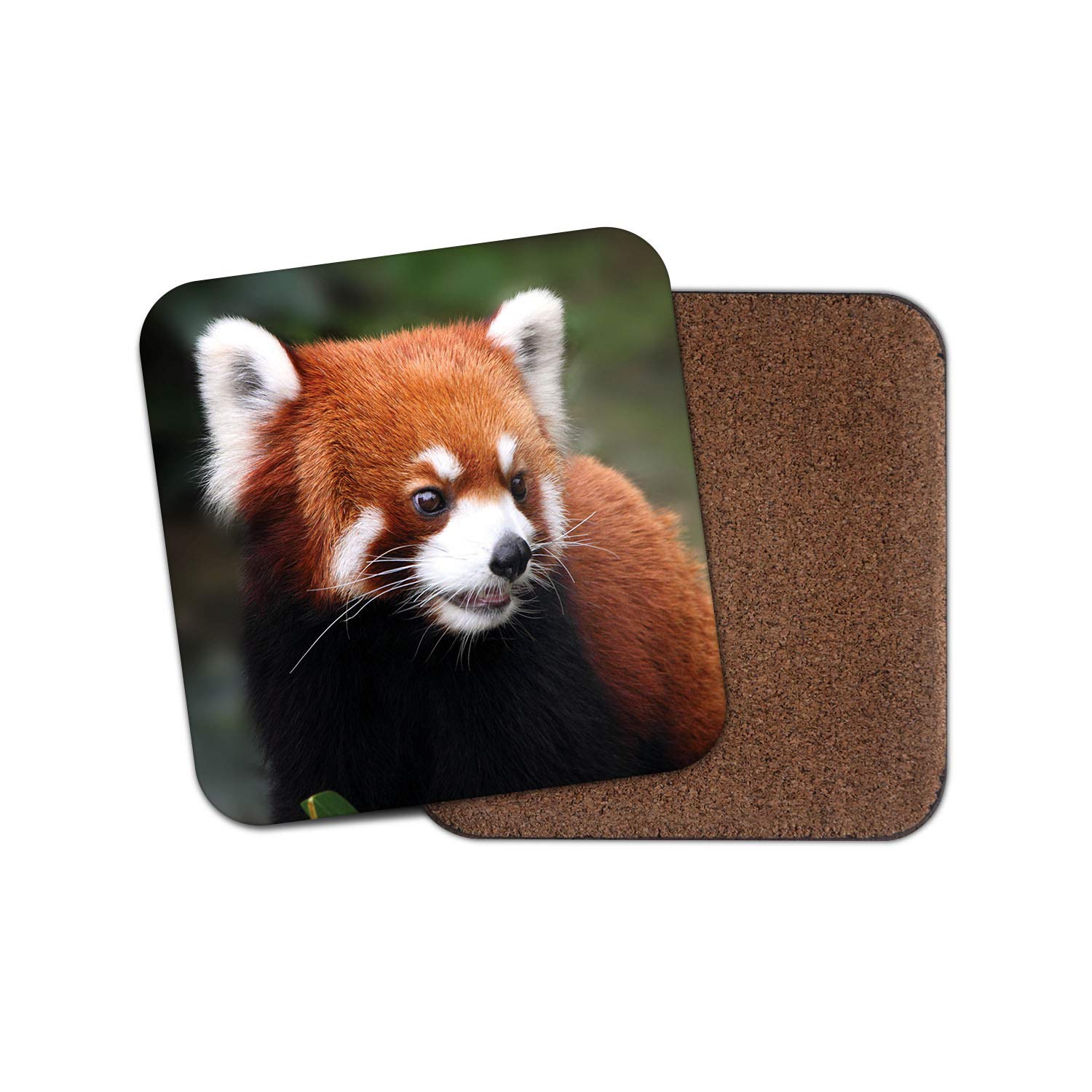 1 x Endangered Red Panda Bear Coaster - Animal Cute Wild Mum Auntie #14159