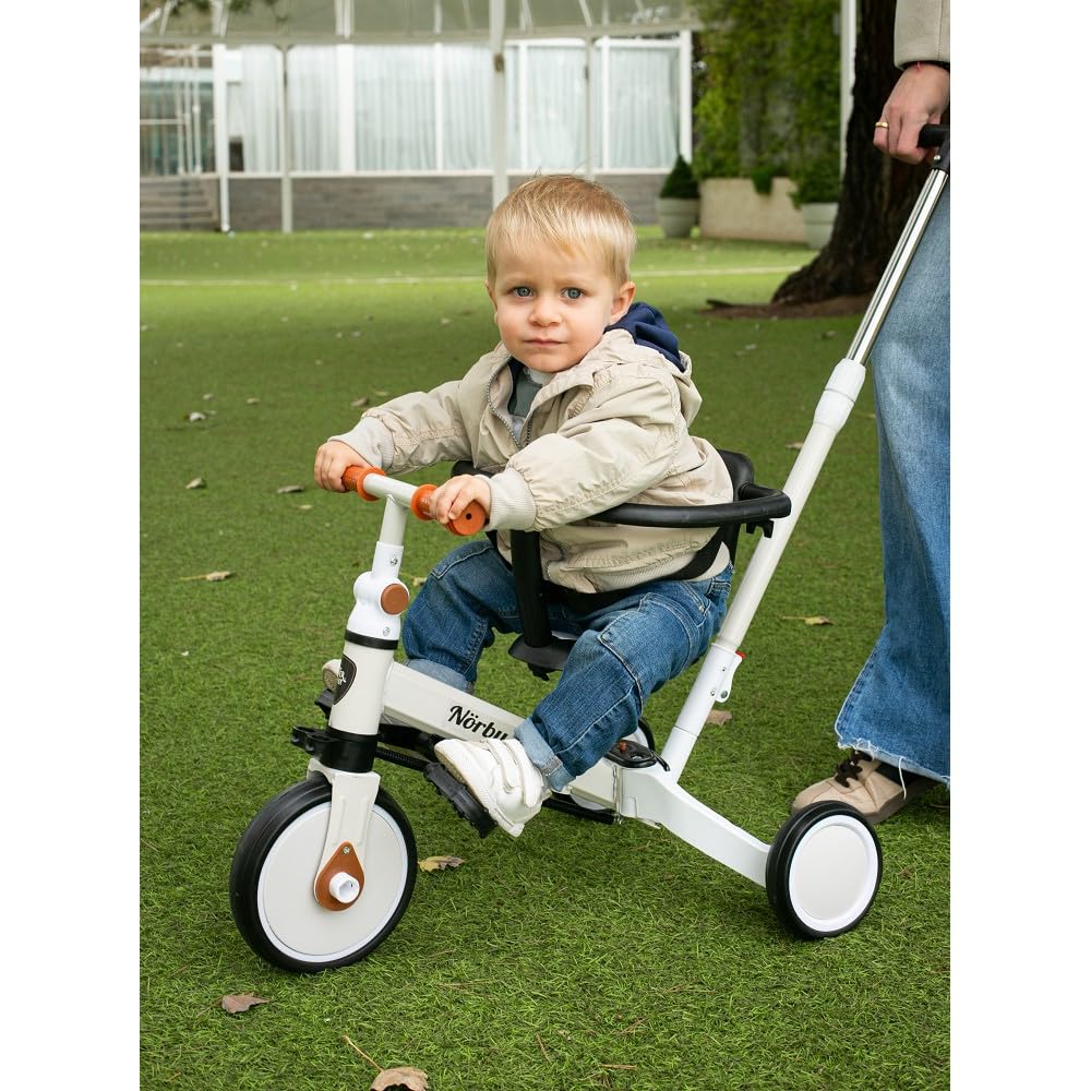 Interbaby Norby: 5 in 1 Dreirad und Laufrad mit Verdeck, 1 bis 5 Jahre