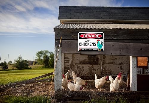 Miniatura 3 de Letrero de pollo humorístico – Letrero de advertencia de lata retro para patio, gallinero, café o pared, regalo de decoración de pollo