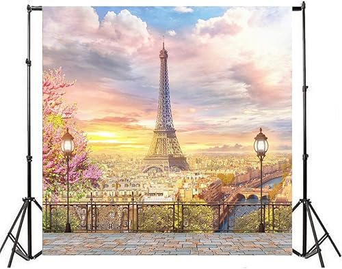 Miniatura 4 de AOFOTO Fondo de torre Eiffel de 5 x 5 pies, paisaje de París, ciudad, arquitectura, balcón, vistas a la calle, fotografía, fondo, terraza, terraza,