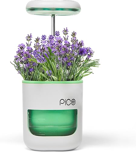 Maceta Pico para jardín interior con luz de cultivo de plantas. Este kit de cultivo de hierbas es la maceta de riego automático perfecta. Un jardín