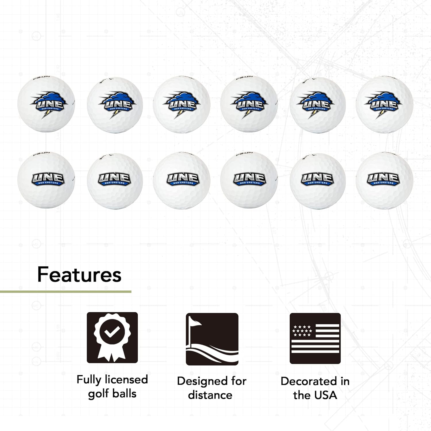 Desert Cactus University of New England Golf Balls 12 Pack – UNE Nor'Easters Full Color Dozen – Officially Licensed Sport Team Accessory