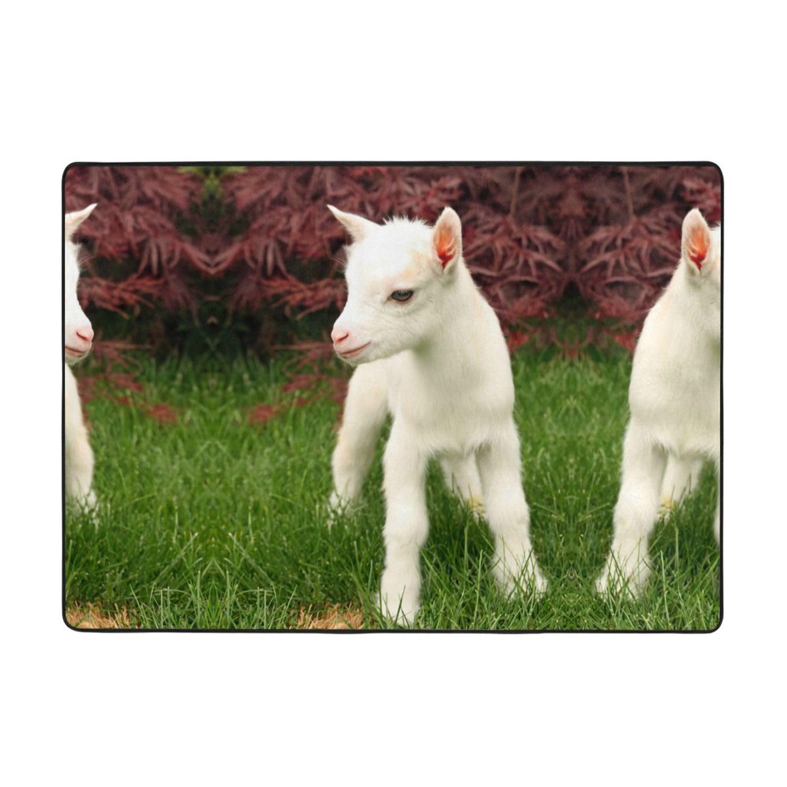 Tapis imprimé chèvre EdWal anti-glisse grand tapis flanelle pour séjour