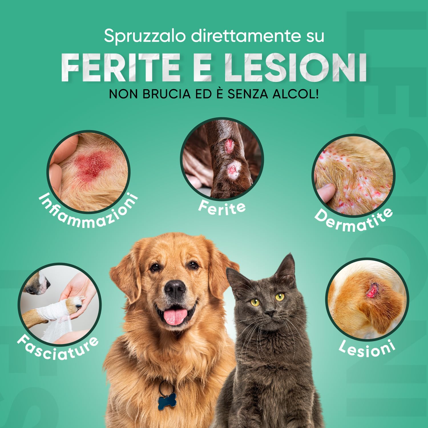 Spray Repellente per Gatti e Cani 250ml, Sapore Amaro, Dissuasore per Gatti e Cani, Spray Anti Graffi Gatto e Cane con Ingredienti Naturali, Disabituante Gatti, Spray Repellente Per Cani Senza Alcool