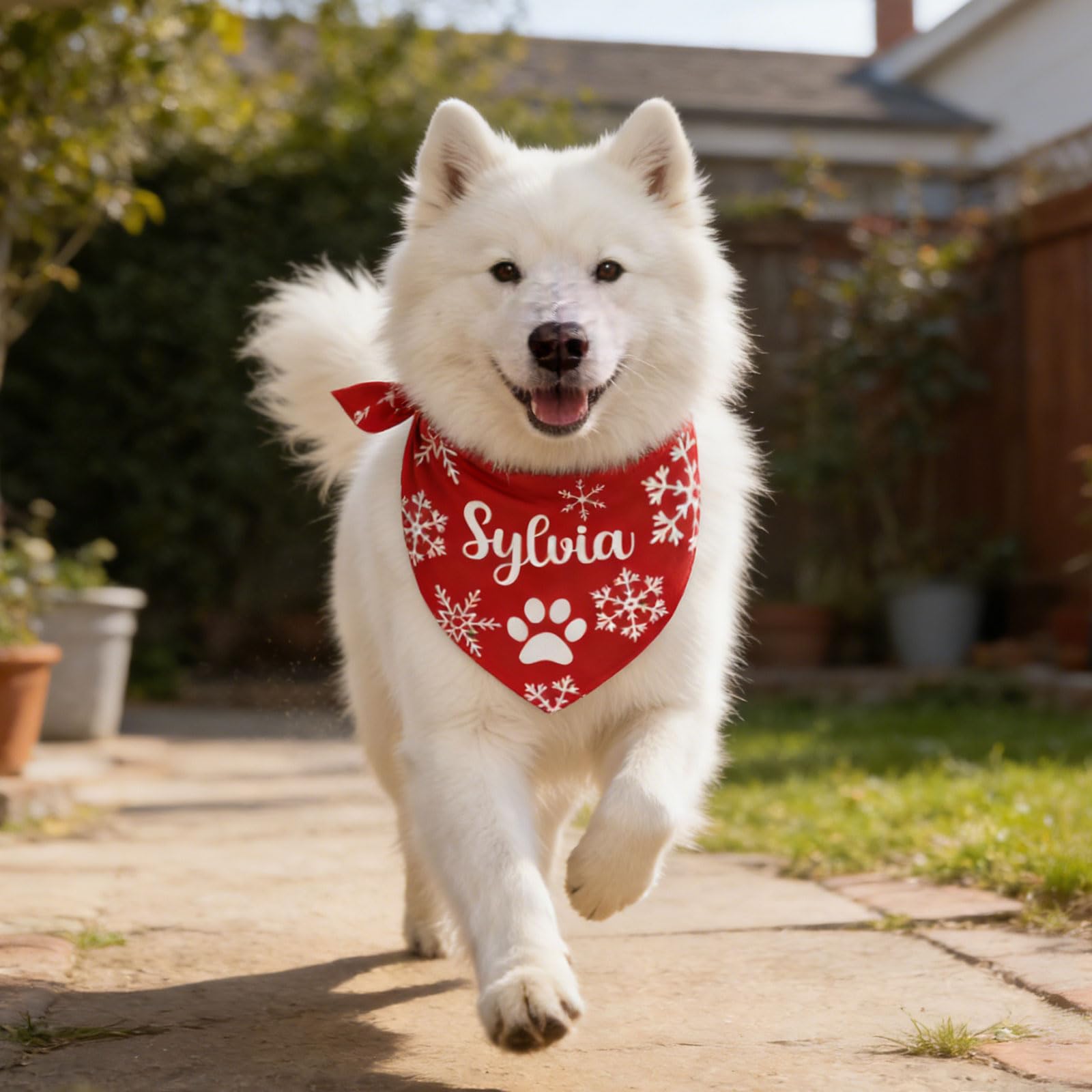 Bandana personalizzata per cani con il tuo logo o testo – Sciarpa triangolare e bavaglino su misura per animali domestici di piccola, media e grande taglia (cani e gatti)