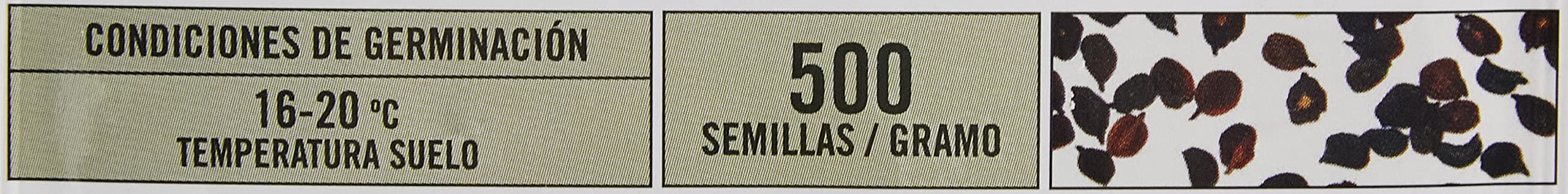 Semillas Batlle Clavel Chabaud AMARILLO