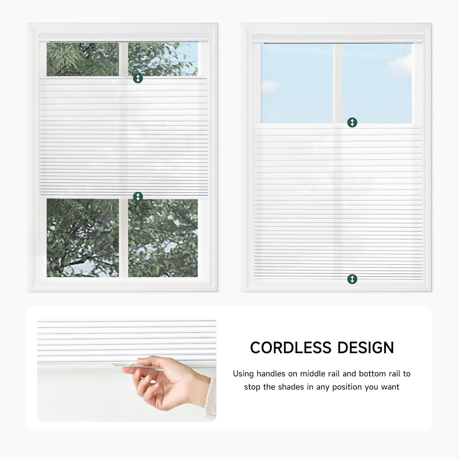 Blinds Cordless Top Down Bottom Up Light Filtering Cellular Shade for Window 31 1/2''W x 72''H