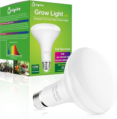 grow light wattage for seedlings