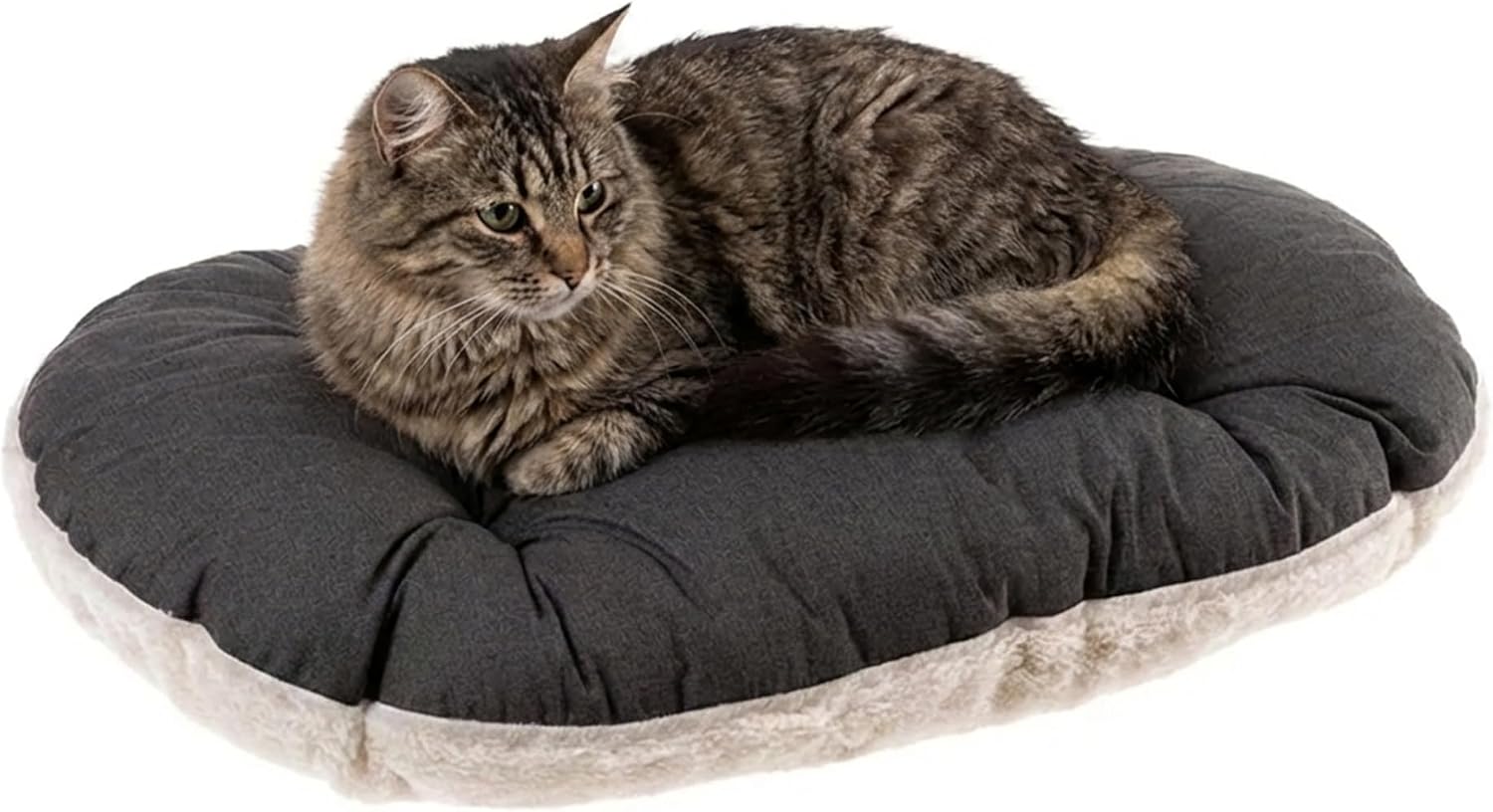 Ferplast Cuscino Cane e Gatto RELAX 55/4, Lettino per Cani Gatti Animali Domestici, Materassino, Cuscino Imbottito per Cuccia Cane e Gatto, Ovale, Pe luche e Cotone, Lavabile, 55 x 36 cm