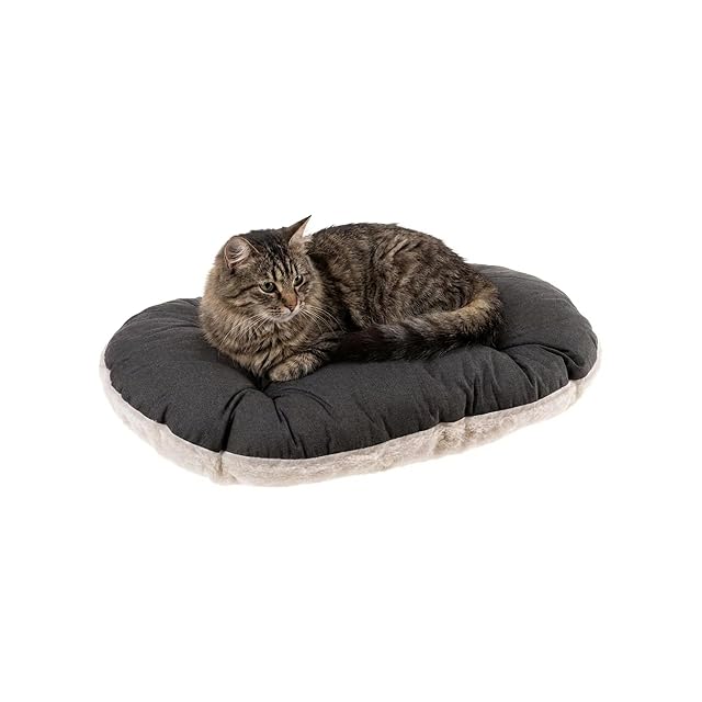 Ferplast - Cama para Perros y Gatos - Cojín para Perros pequeños - Colchón para Perros
