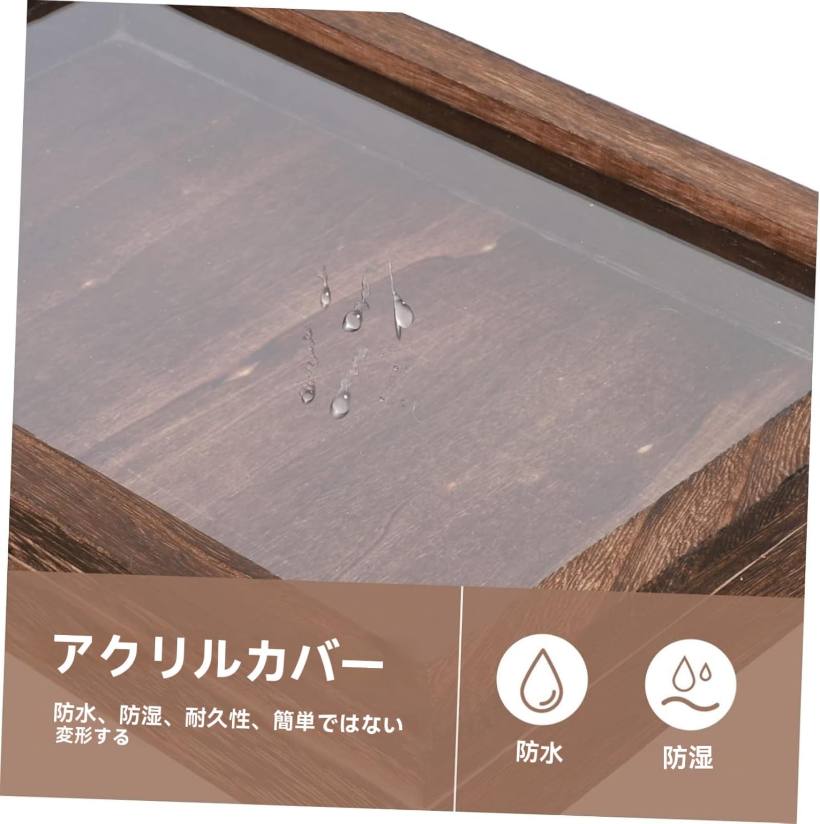 Amazon.co.jp: 昆虫 標本ケース 大型サイズ（45×32×6cm）標本収納