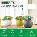 Plant Watering Globes Set of 6 - Small Multicolored Automatic Plant Watering Devices Glass Bulbs - Plant Waterer for Daily Use, Indoor & Outdoor