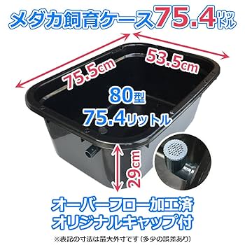 【新仕様】メダカ飼育ケース 75㍑黒x3個 オーバーフロー加工済 金魚飼育容器 新仕様】メダカ飼育ケース 75㍑黒x3個 オーバーフロー加工済