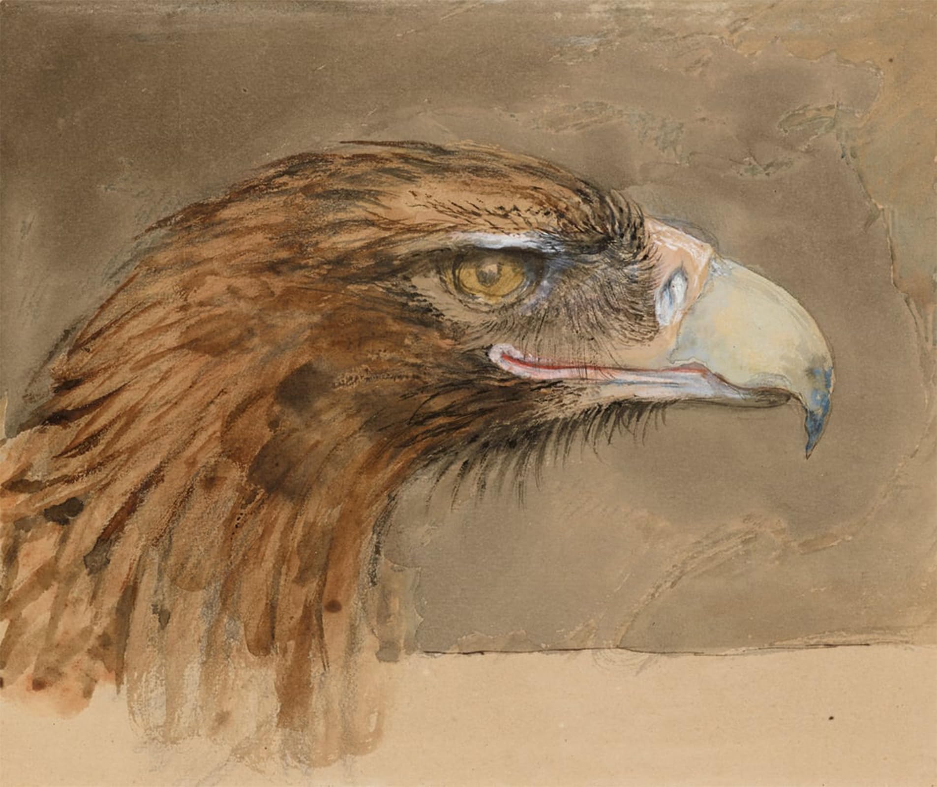 RZHRHJES Famous Painting Poster Art Canvas Print Retro Picture the Head of a Common Golden Eagle From Life September by John Ruskin Poster Wall Art for Home Decor 60x90cm