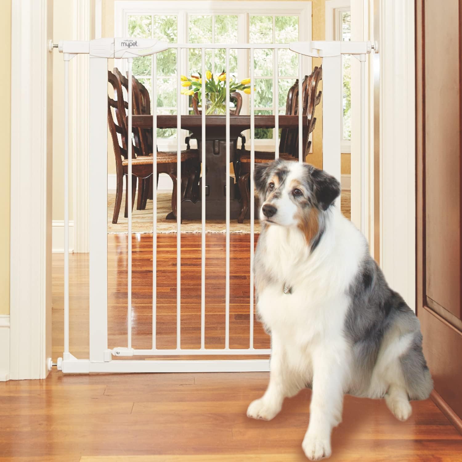MYPET North States Tall Happy Tails Walk Thru Pet Gate: Extra-Tall 36” and Extra-Wide 22” Door with Hold-Open Feature. Pressure Mount.…