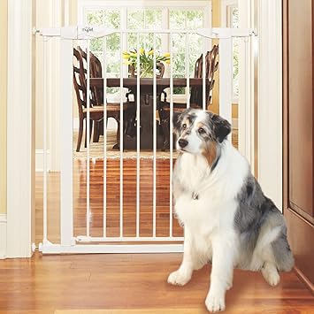 MYPET North States Tall Happy Tails Walk Thru Pet Gate: Extra-Wide 22? Door with Hold-Open Feature. Pressure Mount. Fits 29.75?-37.5? Wide (36? Tall, White)