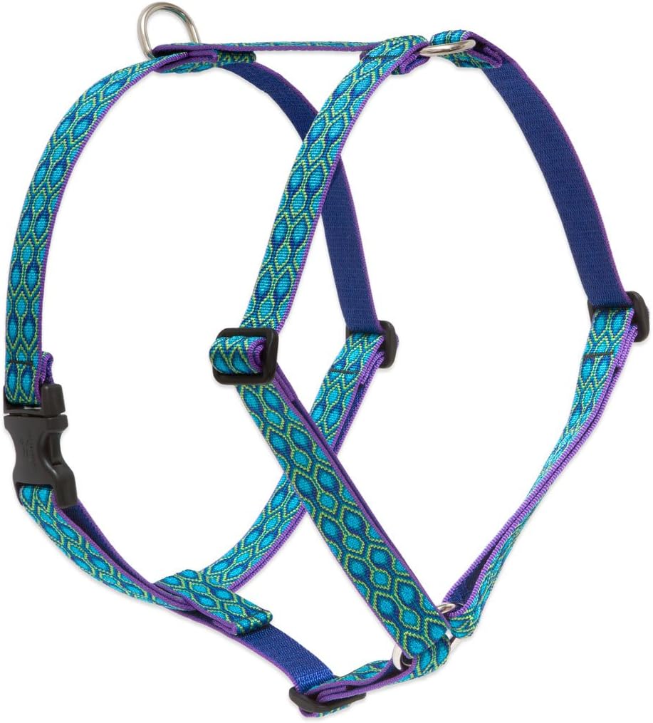 LupinePet Originals 1" Rain Song 20-32" Adjustable Roman Dog Harness for Medium Dogs