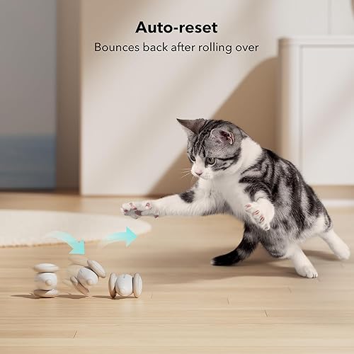 Miniatura 8 de Juguete interactivo para gatos de interior, 2024 actualizado Juguetes para gatitos, juguete automático para gatos con luces LED, juguetes de ratón