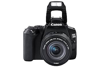Canon EOS 250D APS-C DSLR Camera Body with EF-S 18-55mm F4