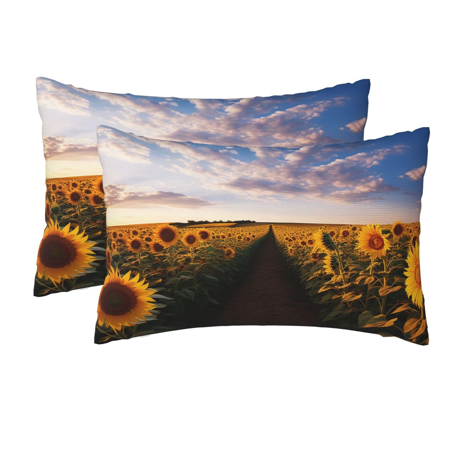 2 Pack Queen Size Pillow Cases for Hair and Skin Soft Breathable Pillow Case Covers with Hidden Zipper Field of Blooming Sunflowers Pillowcase 20x30 Inches Pillow Cover for Sleeping Gift