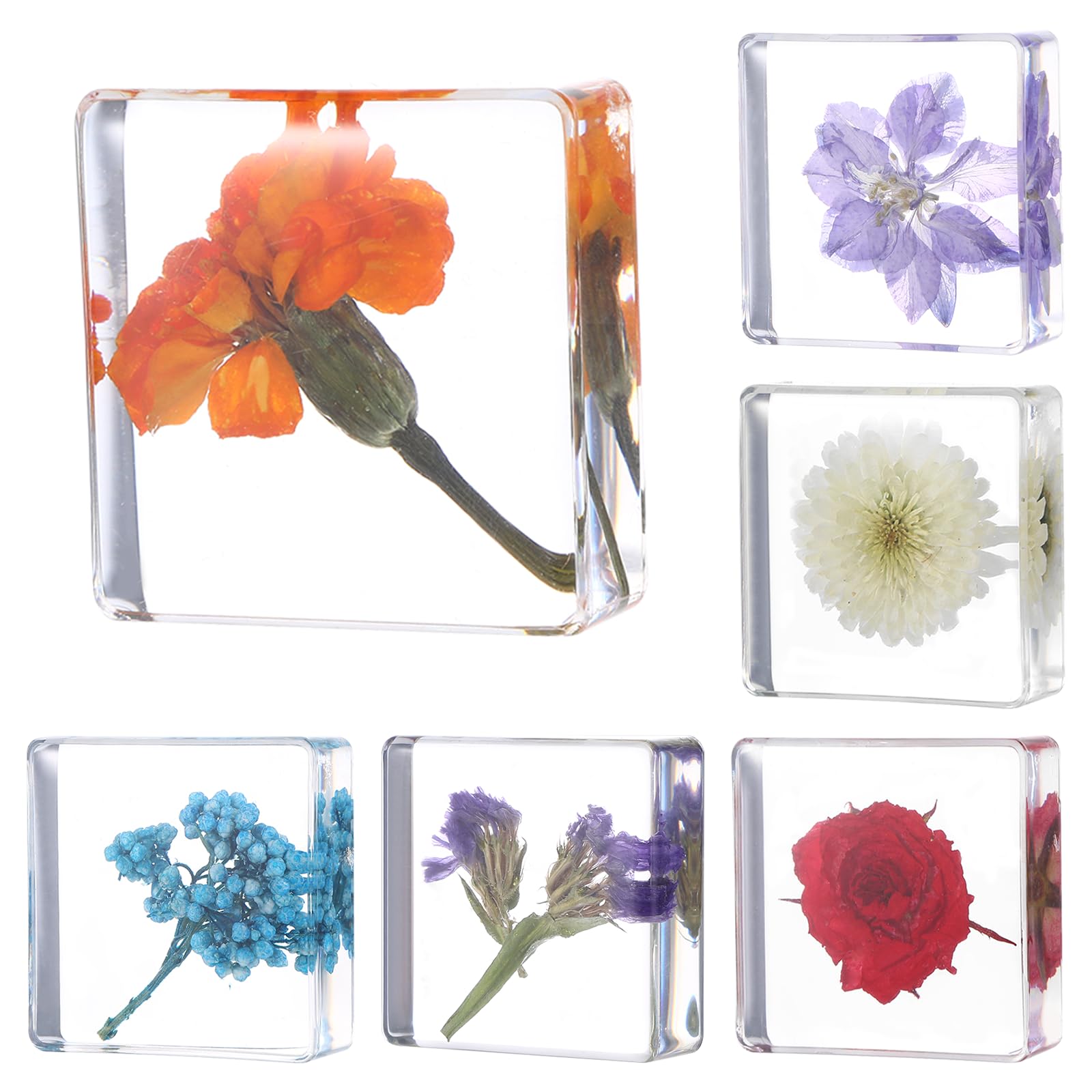 6Pcs Pressed Flower Paper Weights, Real Flower Resin Crafts, Pattern Weights, Paper Weights Decorative,Pressed Flower Ornament,Paper Weights for