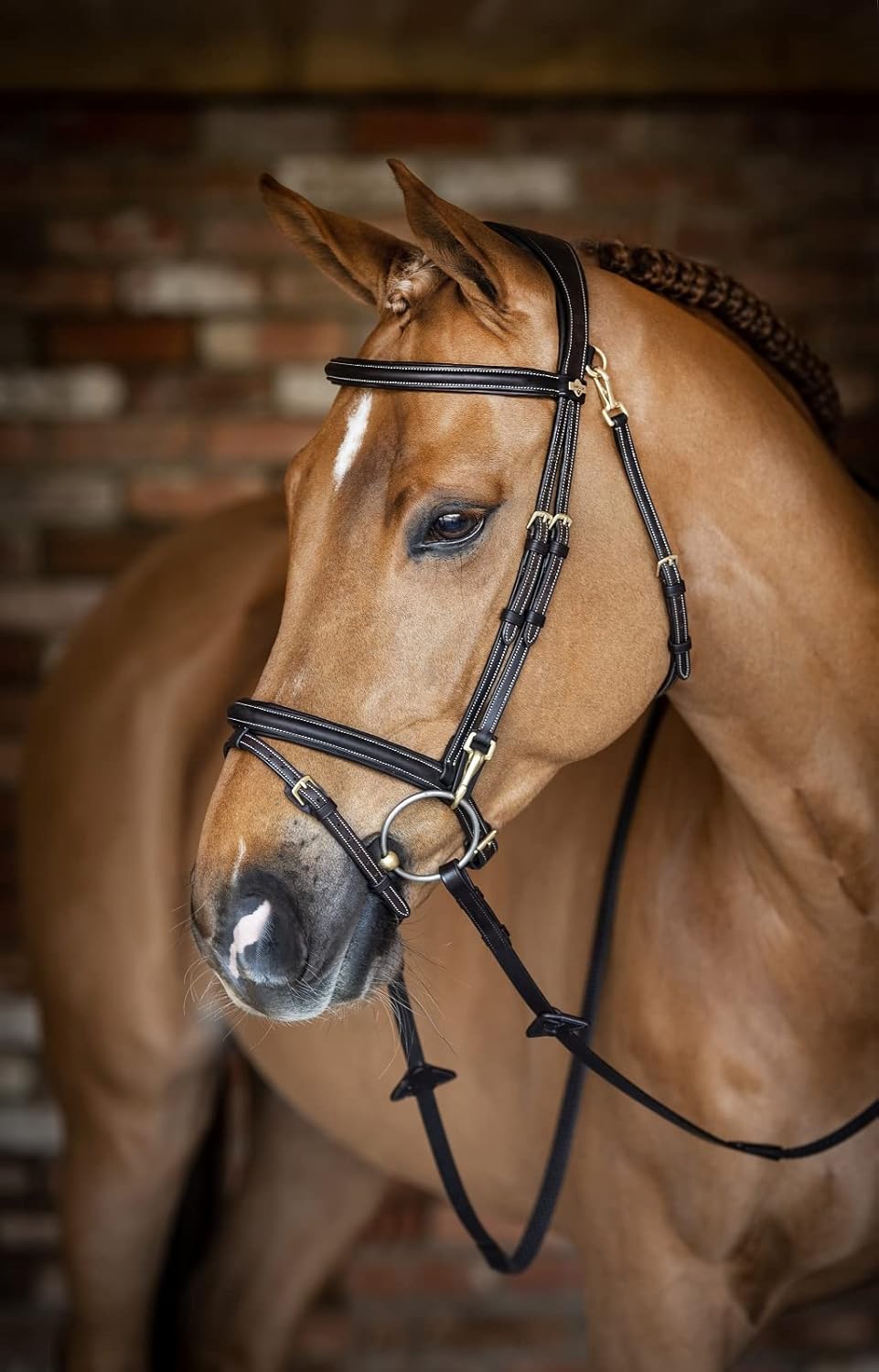 LeMieux Kudos Work Bridle