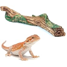 Reptile Resin Wood Decor for Terrarium