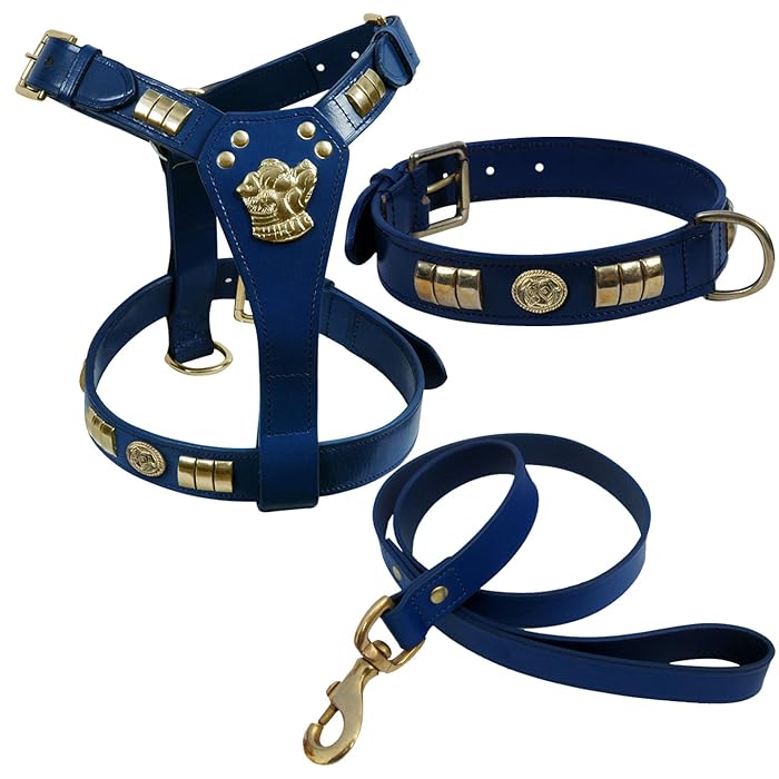Buy STAFFORDSHIRE BULL TERRIER DOG HARNESS WITH DOG FACE, COLLAR AND LEATHER LEAD SET IN BRASS