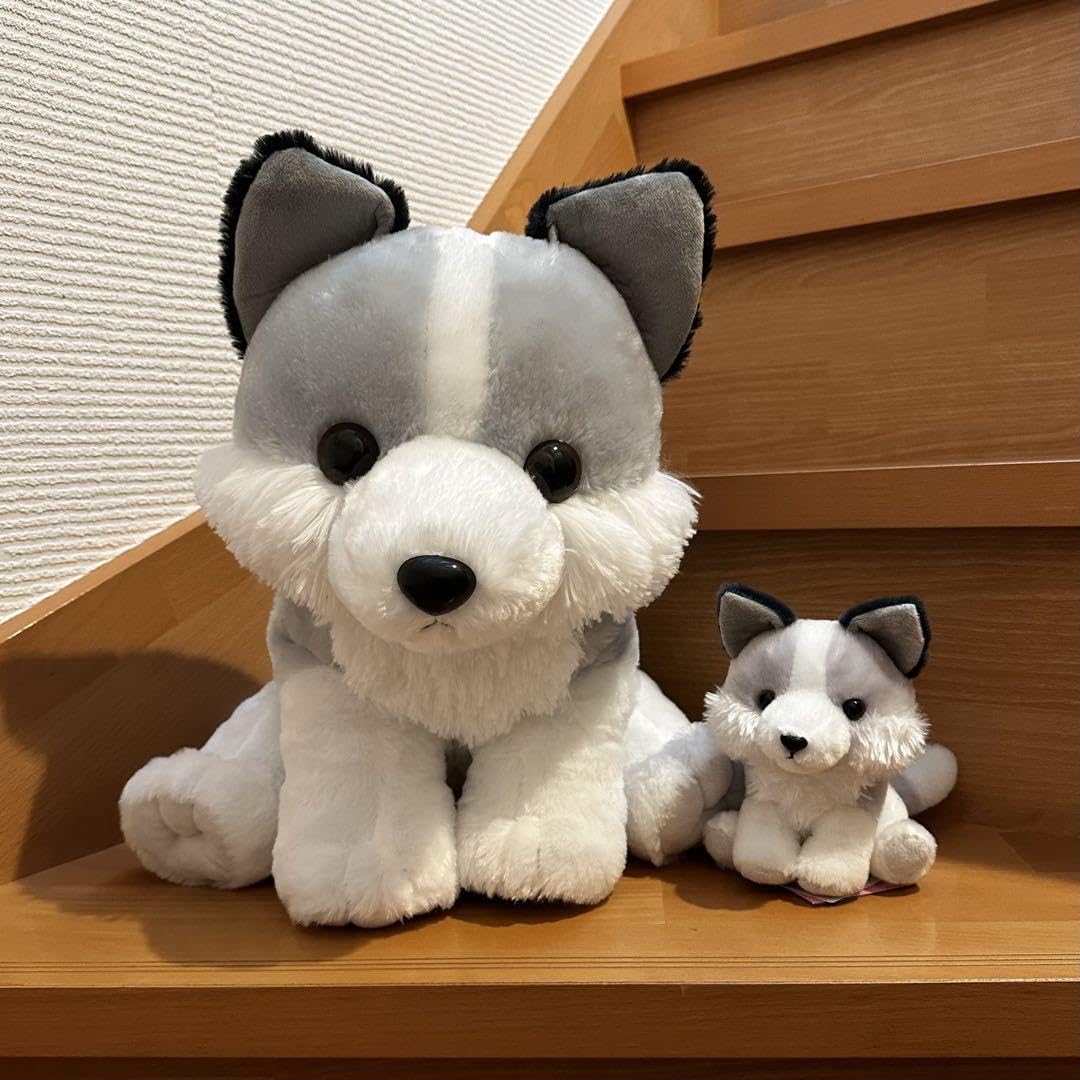 Amazon.co.jp: もふっとオオカミ ぬいぐるみ シルヴァ : おもちゃ